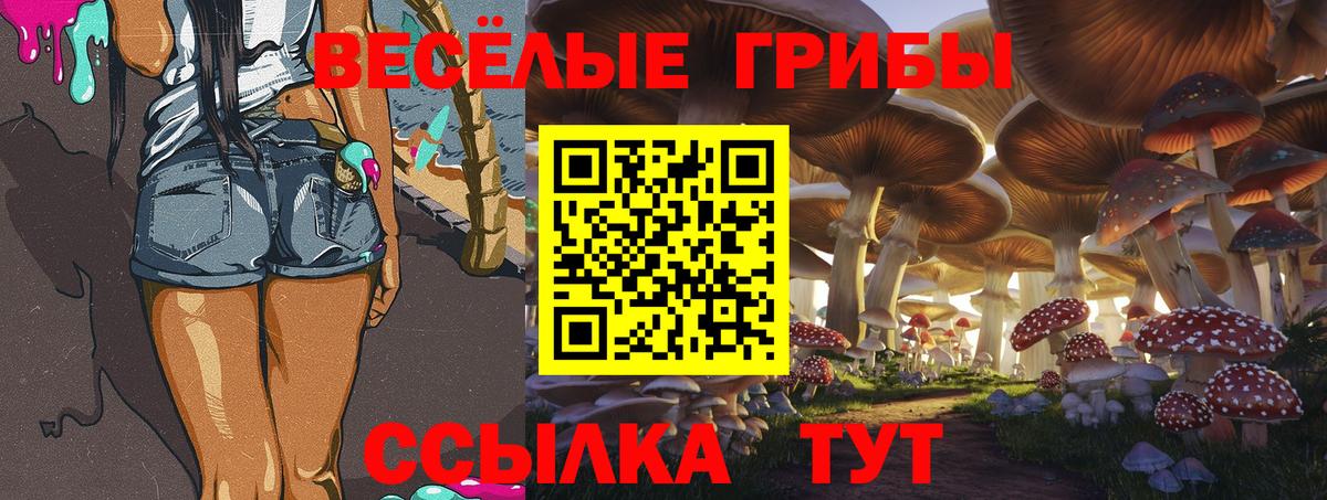 Псилоцибиновые грибы GOLDEN TEACHER Карасук